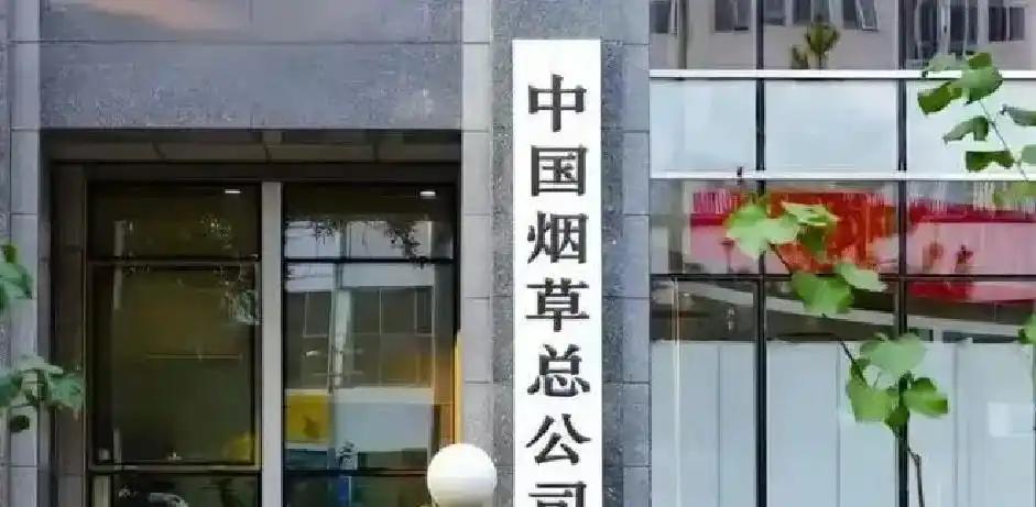 叹息之墙,佛得角门将沃齐尼亚全场7次扑救,扑出6次禁区内射门