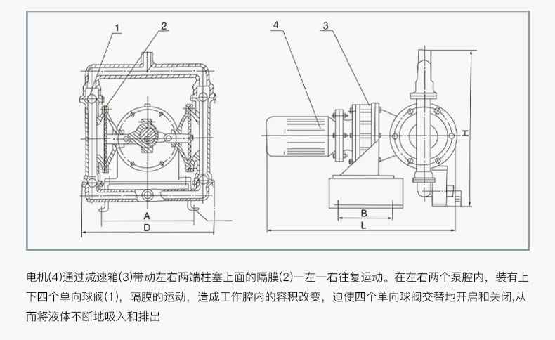 DBY电动隔膜泵工作原理 DBY电动隔膜泵工作原理