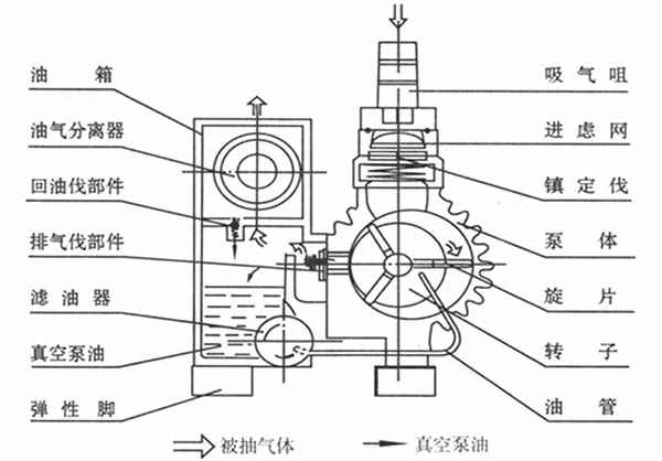 XD单级旋片式真空泵结构图 XD单级旋片式真空泵结构图